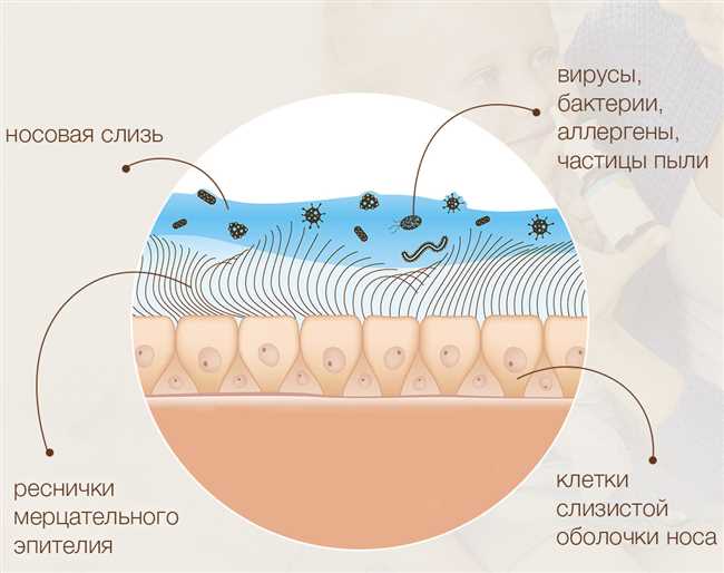 Как быстро избавиться от слизи на носу: эффективные способы удалить сливу с носа