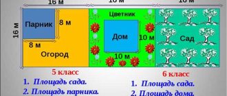 Как быстро найти площадь Дома творчества в метрах квадратных: советы и примеры расчета