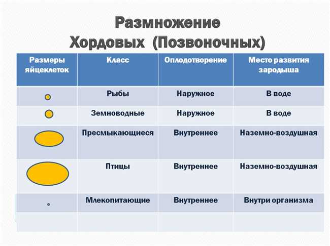 Как крабы размножаются: особенности и процесс размножения