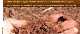 Как медь влияет на свойства почвы: механизмы воздействия и последствия