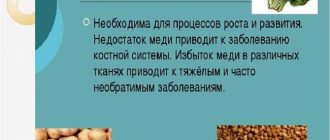 Возможные влияния меди на растения: преимущества, риски, исследования