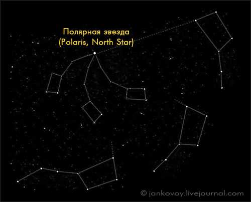 Как меняется положение Большой Медведицы в разные времена года