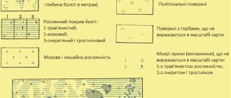 Как на карте обозначается болото и овраг: особенности обозначений на картах