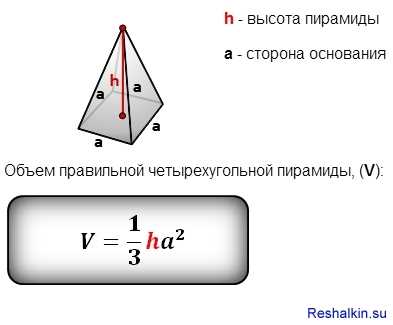 Что такое апофема?