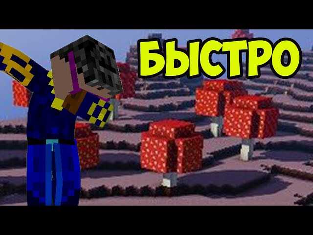 Как найти грибной биом в Minecraft: полезные советы и эффективные способы поиска