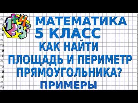 Как найти площадь и периметр прямоугольника: формулы и примеры расчета