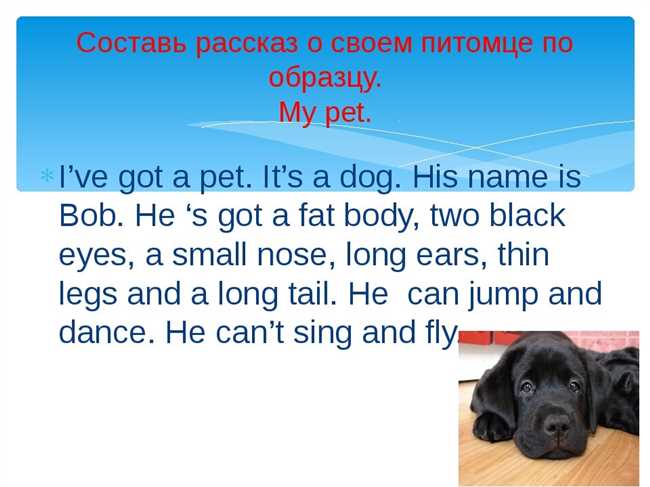 Как написать рассказ про собаку на английском языке с переводом для детей 2-5 классов: полезные советы и руководство