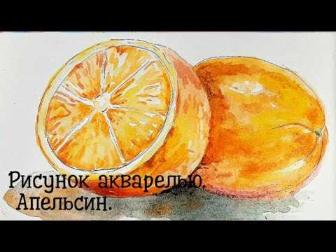 Выбор формы и размера апельсина