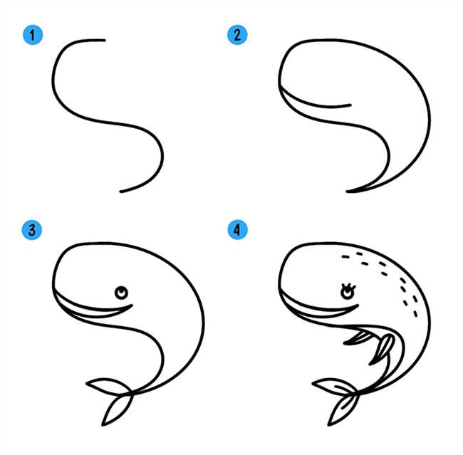 Как нарисовать кита поэтапно: простое руководство для начинающих художников