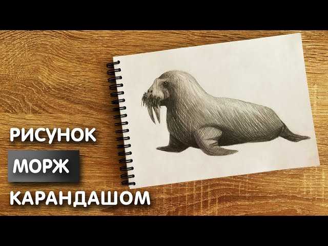 Заключение