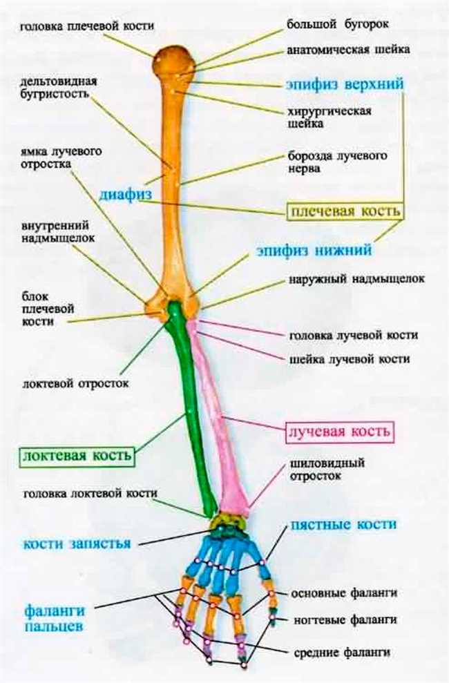 4. Детали на лице и руках