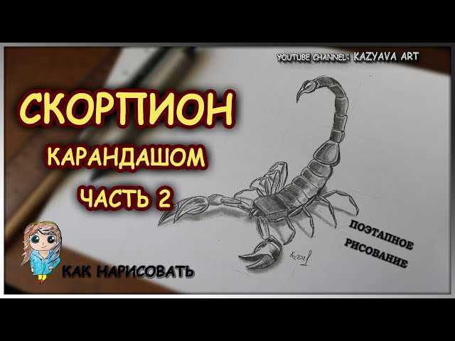 Как нарисовать скорпиона карандашом поэтапно: подробная инструкция