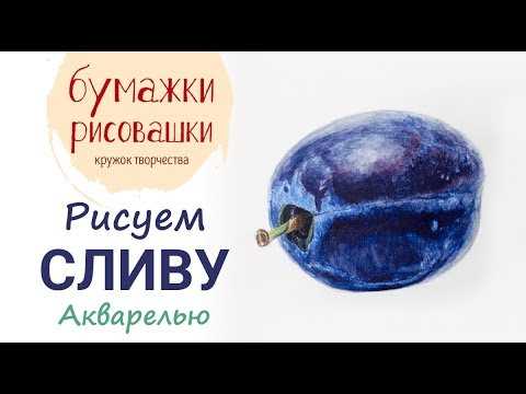 Как нарисовать сливу карандашом поэтапно – подробная инструкция для начинающих