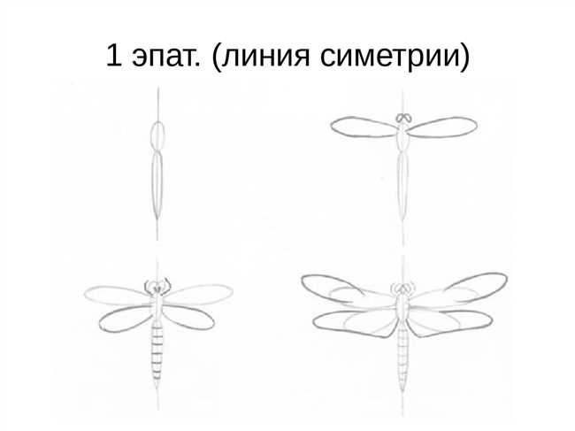 Как нарисовать стрекозу карандашом пошаговая инструкция в иллюстрациях