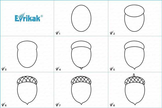 Как нарисовать желудь карандашом: пошаговая инструкция с фото