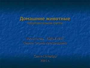 Большая группа свиней: стадо или отара?