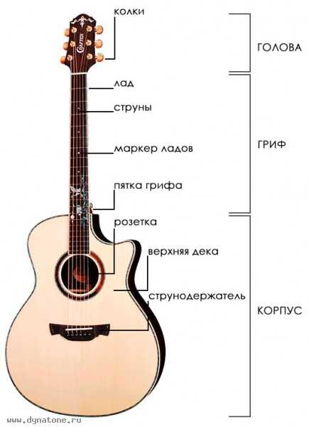 Названия большой скрипки или гитары