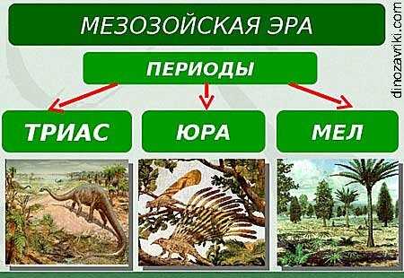 Как называется эра, в которой жили динозавры?