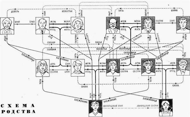 Кто такой двоюродный брат бабушки?