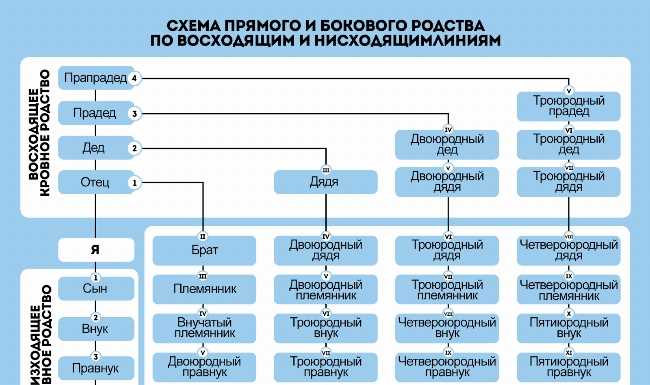 Как называется родная сестра моей бабушки? Все о терминах и связях в родительской линии