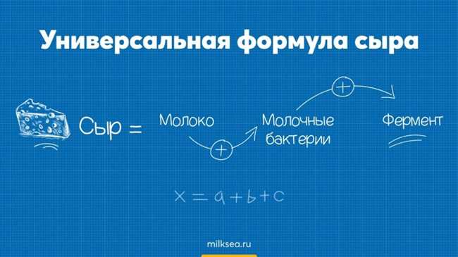 Как образуются дырочки в сыре?