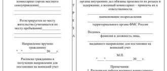 Как легально устроиться на работу в военкомат: подробное руководство и требования