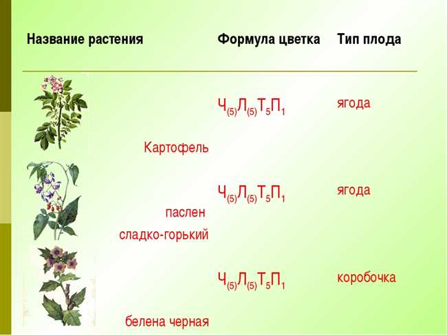 Советы и рекомендации