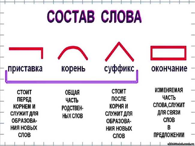 Определение корня