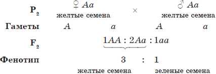 Раздел 4: Особенности поведения и привычек