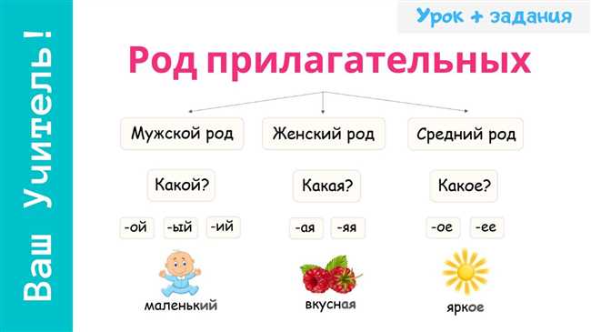 Как определить род глагола: понятные правила и примеры