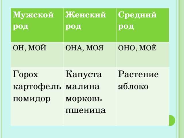 Как определить род слова 