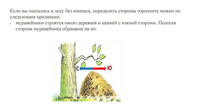 Интересные факты о Солнце