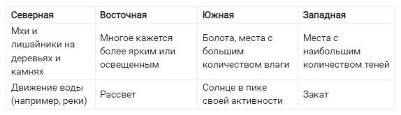 Как определить стороны света на карте Яндекс: подробное руководство