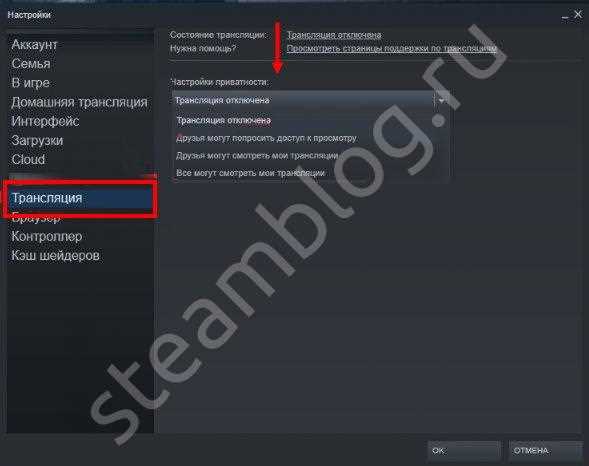 Как отключить трансляцию в Steam и сохранить приватность профиля: подробный гид