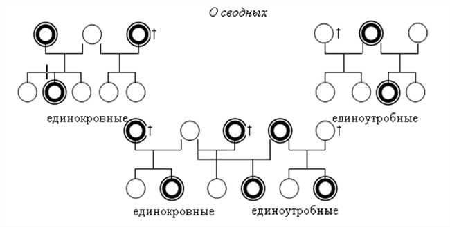 Заключение