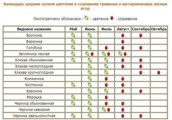 2. Использование словарей и справочников: