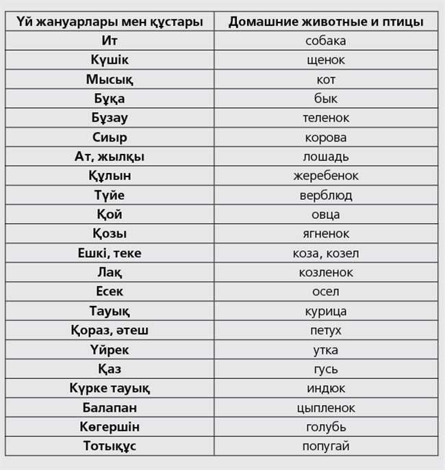 Слово кун. Казахские слова. Казахский язык. Словарь казахского языка. Казахские слова с переводом.