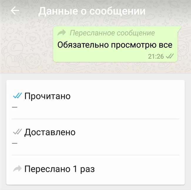 Как переводится WhatsApp: что это значит и как лучше понять