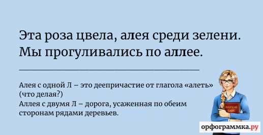 Как пишется: деревья или деревъя? Грамматические правила и разъяснения