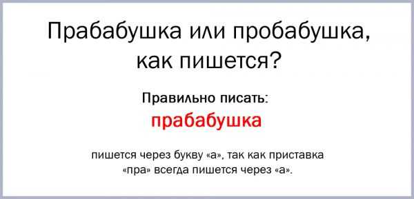 Как пишется слово прОбабушка или прАбабушка: правила и примеры использования