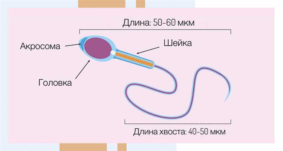 Источники шума в дБА