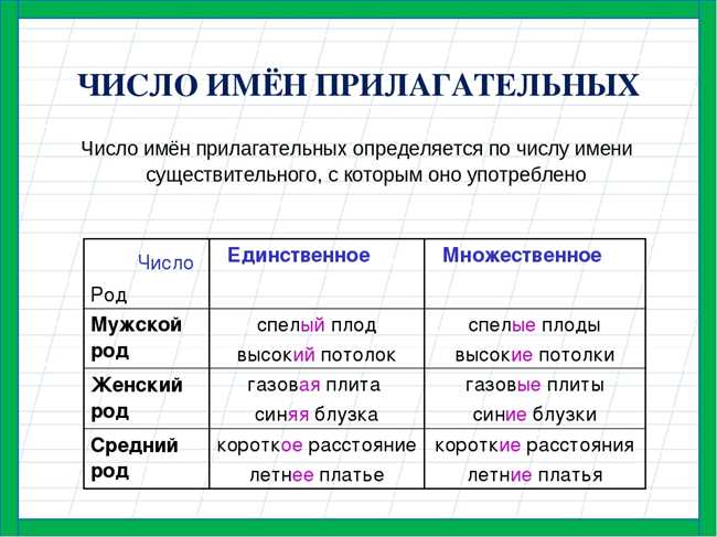 Как правильно написать обшлаги или обшлага во множественном числе: советы по правописанию