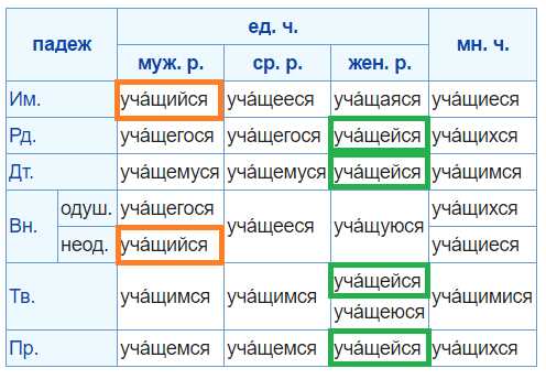 Как правильно написать: учиться или учится?