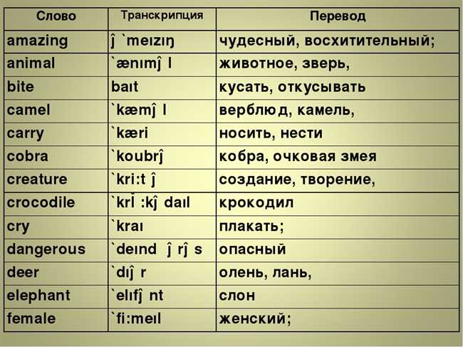 Как правильно перевести на английский язык слово 