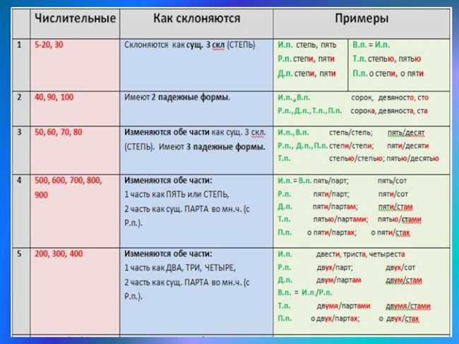 Как правильно писать и склонять слово окорочок: советы и правила