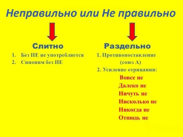 Как правильно писать: Он не прав или Он неправ