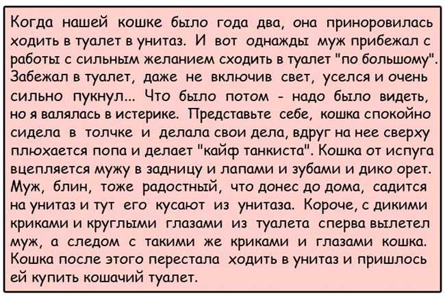 Прецедентный ответ: Как правильно писать: приноровиться, преноровиться, принаровиться или приноровится?