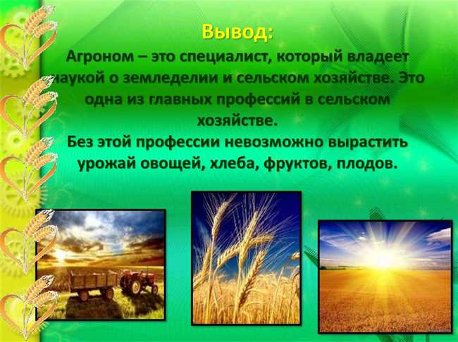 Как правильно пишется агроном или аграном? Разбираемся с орфографическими трудностями