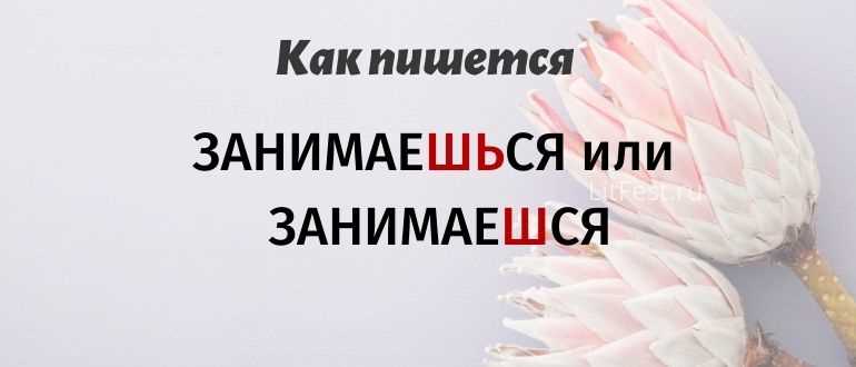 Как правильно пишется «Чем занимаеШСЯ» или «Чем занимаеШЬСЯ» и обоснования