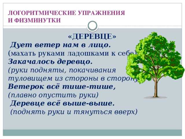 Как правильно пишется деревце или деревцо: все правила и исключения